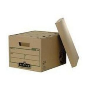AS9335 | Fellowes Bankers Box Earth Series Large Storage Box 4470701