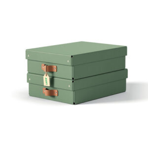 AS9532 | L:Storage Box Card M low 2pcs ea green