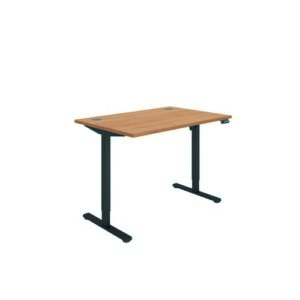 DS4946 | Polaris Single Motor Sit Stand Desk 1200X800 Beech/Black