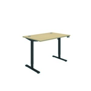 DS4950 | Polaris Single Motor Sit Stand Desk 1200X800 Oak/Black
