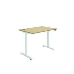 DS4951 | Polaris Single Motor Sit Stand Desk 1200X800 Oak/White