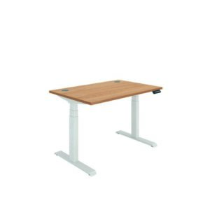 DS4964 | Polaris Dual Motor Sit Stand Desk 1200X800 Beech/White