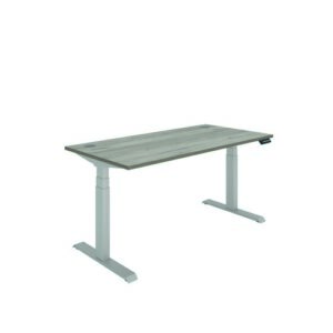 DS4988 | Polaris Dual Motor Sit Stand Desk 1600X800 Grey Oak/Silver