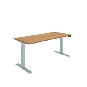 DS4996 | Polaris Dual Motor Sit Stand Desk 1800X800 Beech/Silver