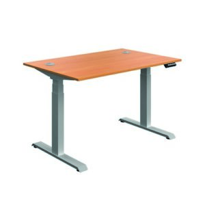 DS8437 | Serrion Connect Dual Motor Sit Standbeech/Silver