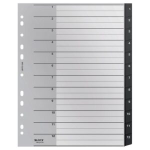 DV1260 | Leitz Index Recycle 1-12 A4 Pp Black