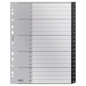 DV1261 | Leitz Index Recycle 1-20 A4 Pp Black