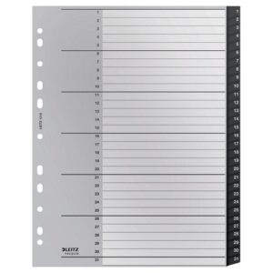 DV1262 | Leitz Index Recycle 1-31 A4 Pp Black