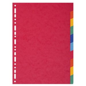 DV1574 | 10 Part A4 Maxi 220gsm Plain Tabs Assorted