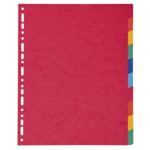 DV1576 | 10 Part A4 Maxi 225gsm Plain Tabs Assorted