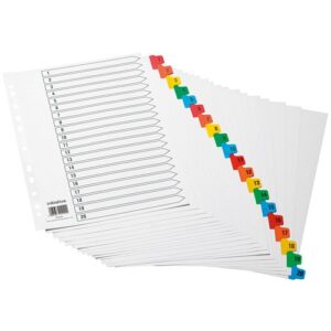 DV9248 | Initiative Index 1-20 Clrd Mylar Tab