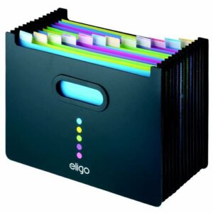 EF1531 | Snopake Eligo Desk Expander 13-Part Landscape 15174