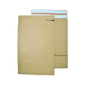 EN1012 | E-Green C3 Plus Gusset Mailer Man 200s