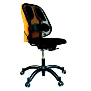 FR7549 | Fellowes Professional Mesh Back Support 8029901