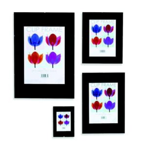 IB8667 | Signature Frameless Frame Styrene A4 CF2130NG