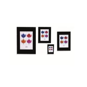IB8671 | Hampton Frames Signature Frameless Frame Styrene A1