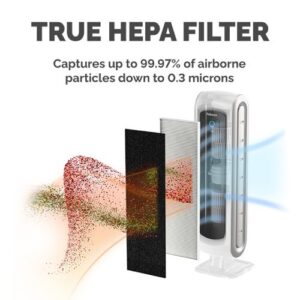 JA4176 | AeraMax 10 HEPA Filter 9287001