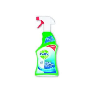 JA4384 | Dettol Mould Mildew Triggr 750ml