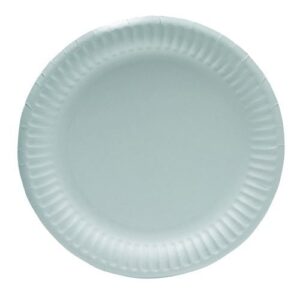 JA6224 | Plates Paper 9 Inches White Pack 100 KBLRY1642