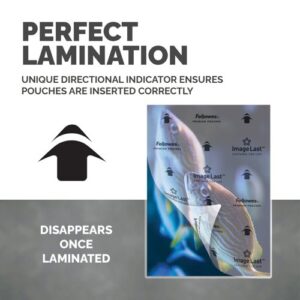 LM2111 | Fellowes A4 Gloss 125Mic Pouches 500PK