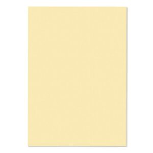 PC1225 | Blake Premium Business Wove Paper 500s