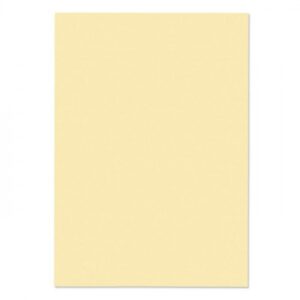 PC1230 | Blake Premium Business Laid Paper 500s
