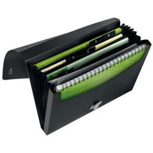 PF1059 | Leitz Project File Recycle A4 PP Black