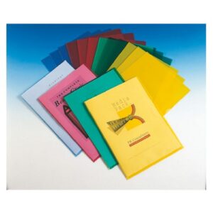 PF1395 | Esselte Standard Folder A4 Clear Pack 100
