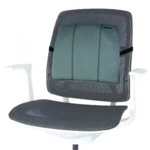 WS9165 | Fellowes Slimline Back Support Grey 9190901