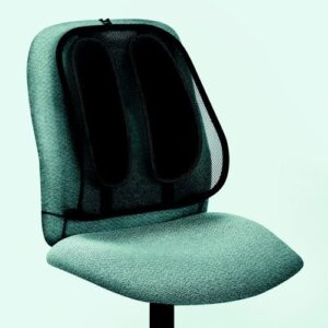 WS9168 | Fellowes Office Suites Mesh Back Support 91910301