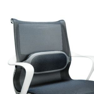 WS9172 | Fellowes Ispire Series Lumbar Back Support With Mesh Fabric