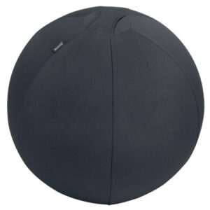 WS9197 | Leitz Active Sitball 55cm AntiRoll-Away D.Gy
