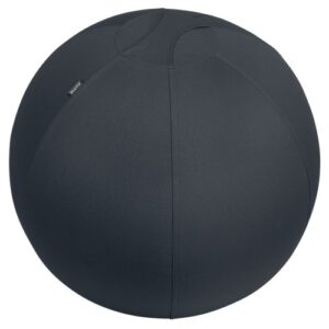 WS9198 | Leitz Active sitball 65cm AntiRoll-Away D.Gy